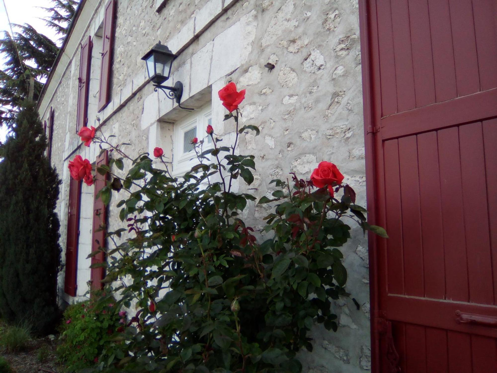 Bed & Breakfast Le Clos De La Vigneronne Messas