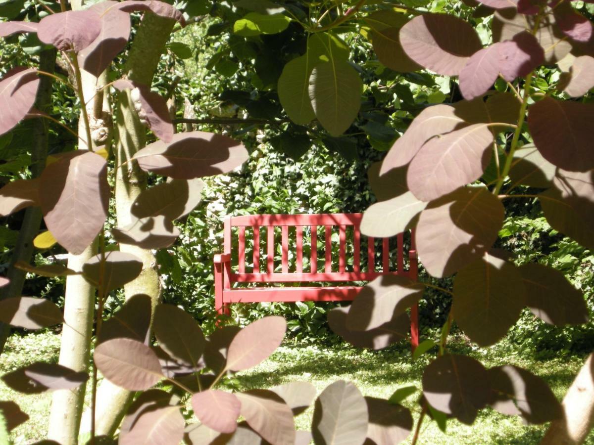 Le Clos De La Vigneronne Bed & Breakfast *